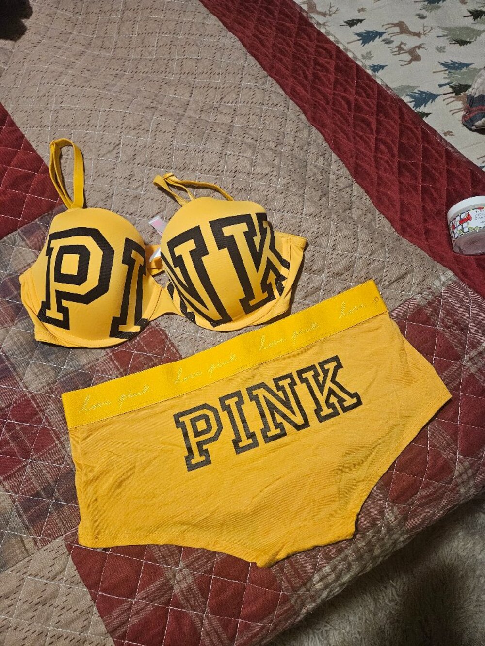 Nwt boyshort large nwot pink 36c yellow bra